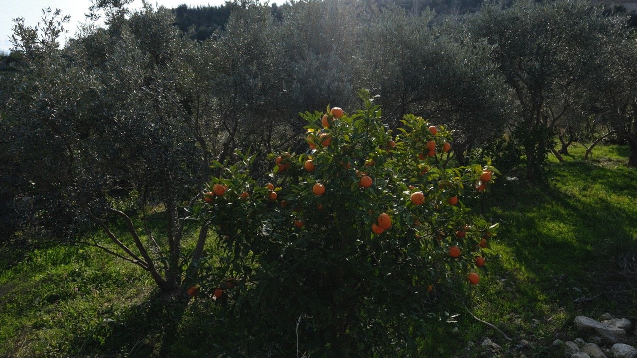 Hıdırbey, Samandağ