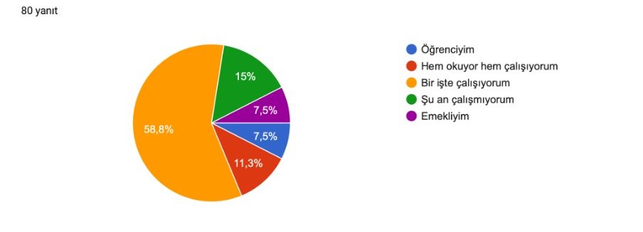 Katılımcıların Çalışma Durumu ve İstihdam Yapısı