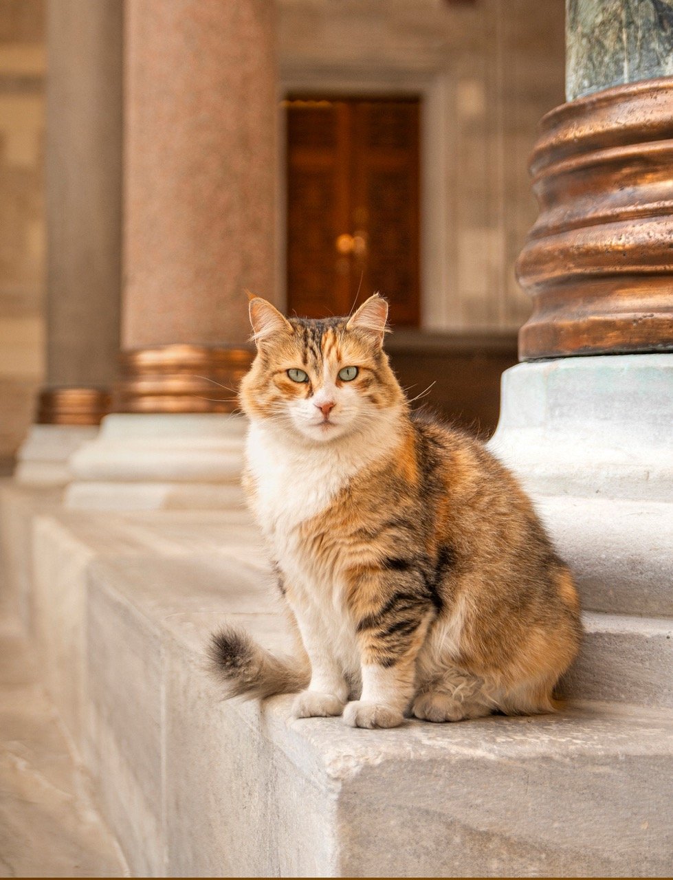 Madame Caki. Fotoğraf: Marcel Heijnen